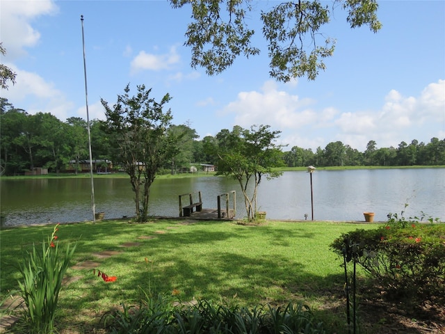 15255 Austin Rd, Willis, TX 77378 - photo 3