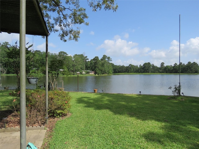 15255 Austin Rd, Willis, TX 77378 - photo 8