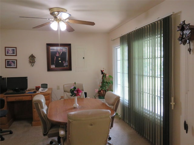 15255 Austin Rd, Willis, TX 77378 - photo 15