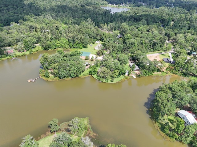 15255 Austin Rd, Willis, TX 77378 - photo 5