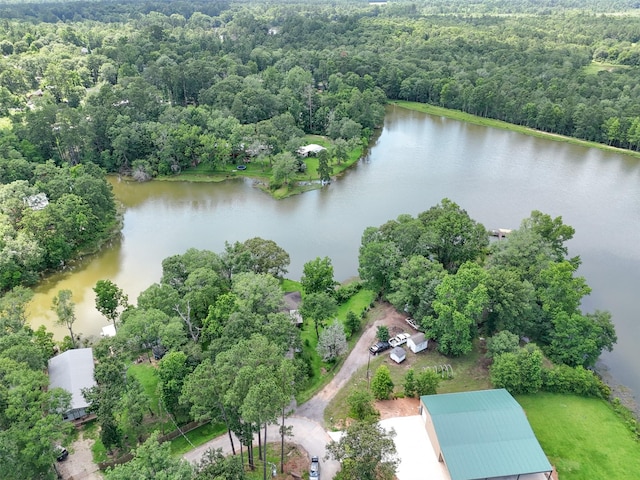 15255 Austin Rd, Willis, TX 77378 - photo 6
