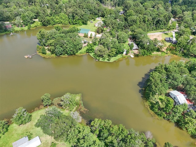 15255 Austin Rd, Willis, TX 77378 - photo 22