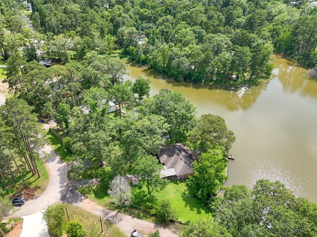 15255 Austin Rd, Willis, TX 77378 - photo 23