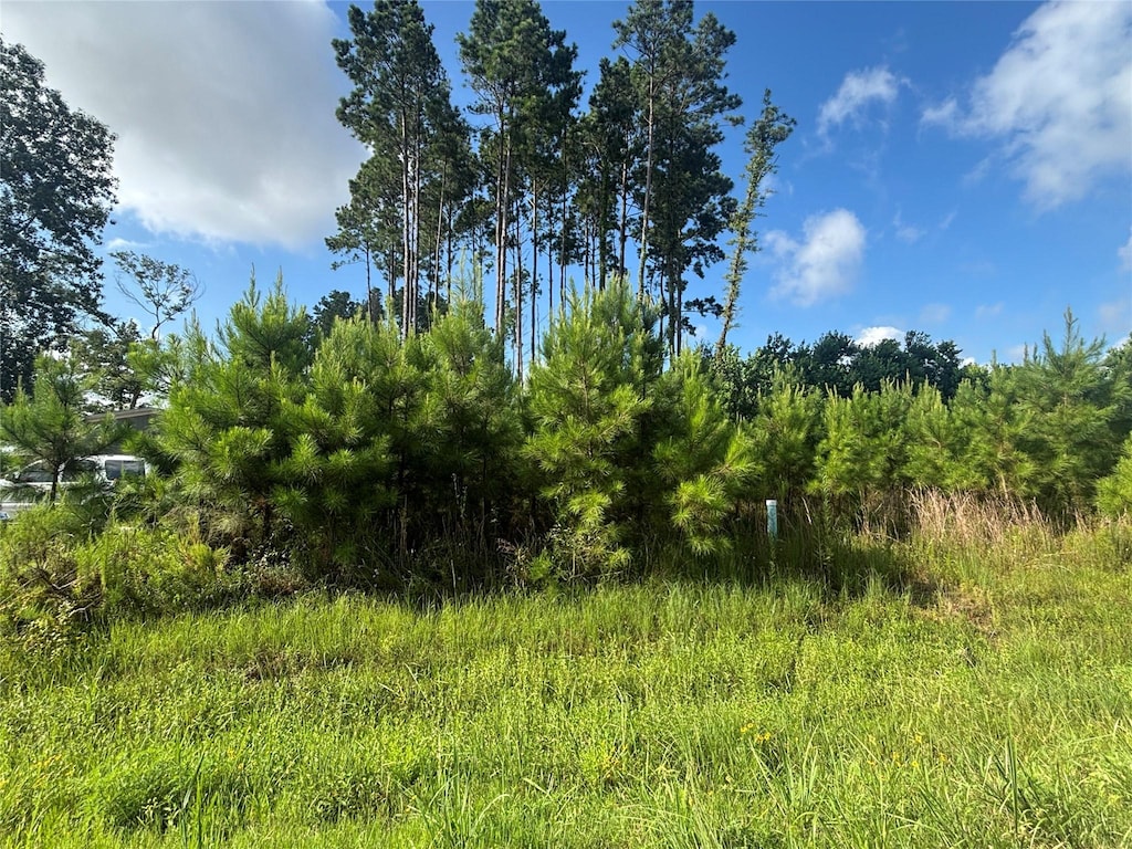 794 Rd 5252, Cleveland, TX 77327 - photo 1