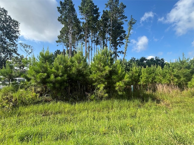 794 Rd 5252, Cleveland, TX 77327 - photo 1