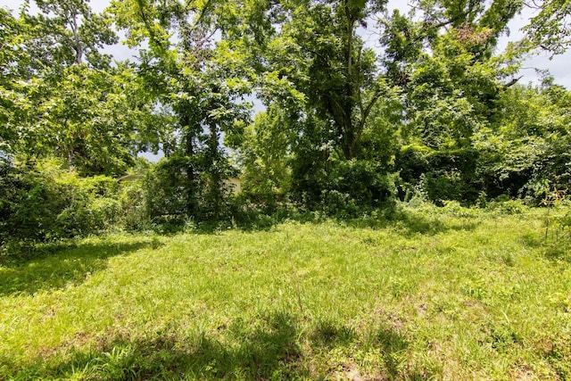 907 Linia Alfred St, Cleveland, TX 77327 - view of local wilderness