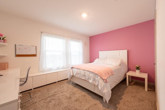 29415 Bryans Mnr, Katy, TX 77494 - photo 43