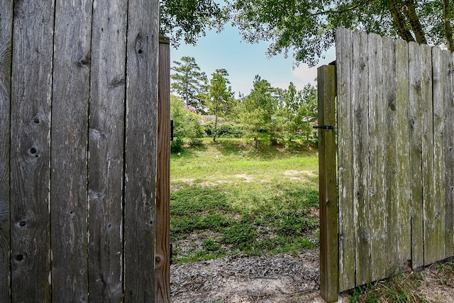 2026 Naplechase Crest Dr, Spring, TX 77373 - view of yard