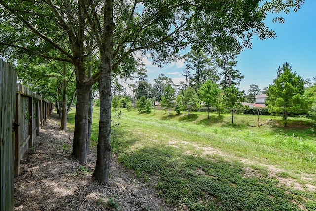 2026 Naplechase Crest Dr, Spring, TX 77373 - view of yard