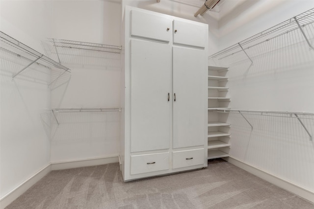 1616 Fountain View Dr Unit 202, Houston, TX 77057 - walk in closet with light carpet