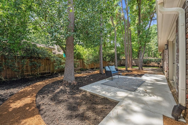 163 W Village Knoll Cir, The Woodlands, TX 77381 - fenced backyard featuring a patio area