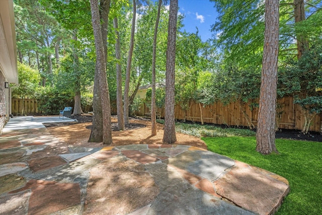 163 W Village Knoll Cir, The Woodlands, TX 77381 - view of yard with a patio