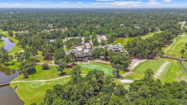 163 W Village Knoll Cir, The Woodlands, TX 77381 - aerial view of a large body of water and a golf course