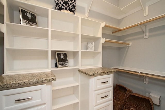 2802 Morrison St Unit 401, Houston, TX 77009 - view of spacious closet