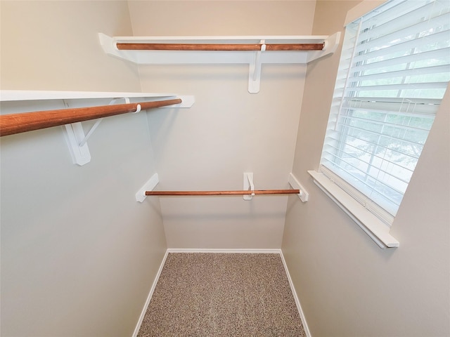 3014 Loganberry Park Ln, Houston, TX 77014 - photo 27