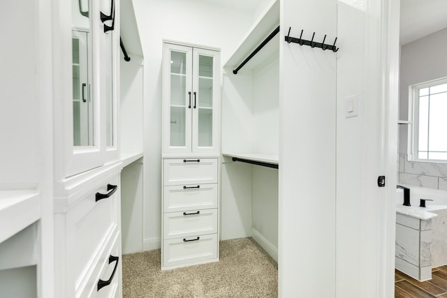 133 Water Grass Trl, Clute, TX 77531 - view of spacious closet