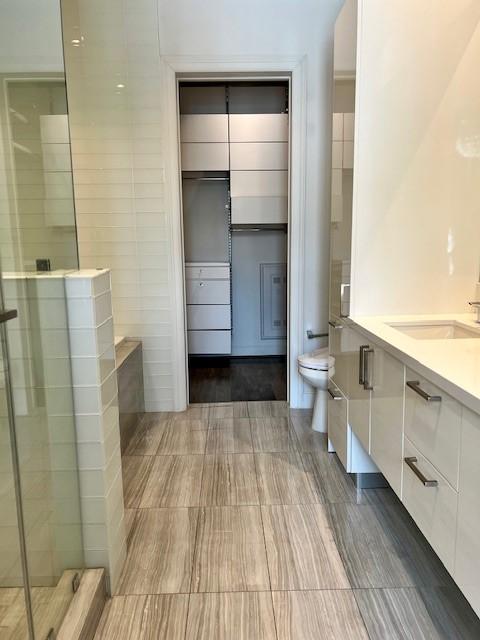 1211 Caroline St Unit 1007, Houston, TX 77002 - full bath with a stall shower and vanity