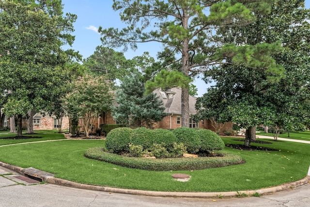 9727 Godstone Ln, Spring, TX 77379 - surrounding community featuring a lawn
