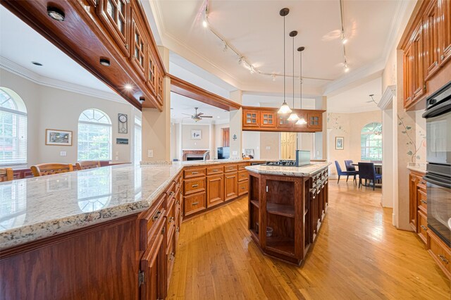 3665 Maranatha Dr, Sugar Land, TX 77479 - kitchen with track lighting, light wood finished floors, open shelves, glass insert cabinets, and crown molding