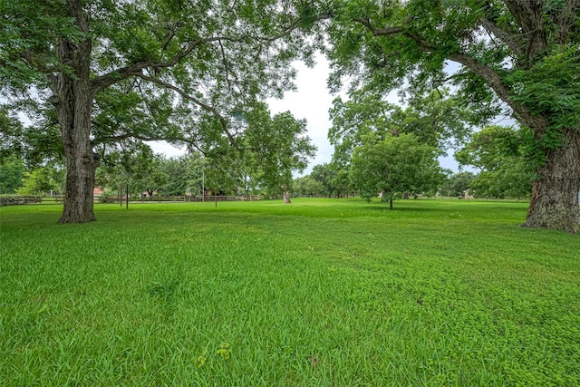3665 Maranatha Dr, Sugar Land, TX 77479 - view of green lawn