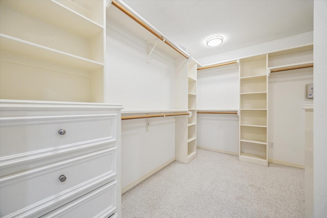 4404 Wendell St, Bellaire, TX 77401 - walk in closet with light carpet