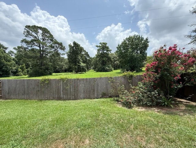8010 N Tarrytown Crossing Dr, Conroe, TX 77304 - view of yard