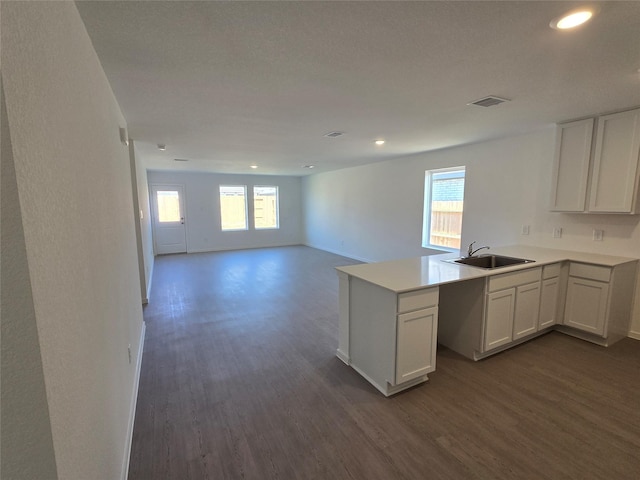 274 Douglas Hills Dr, Magnolia, TX 77354 - kitchen with dark wood-style floors, a peninsula, healthy amount of natural light, and recessed lighting