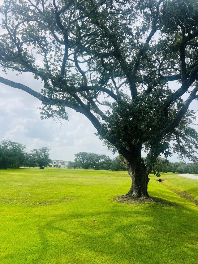 375 Thousand Oaks Dr, Angleton, TX 77515