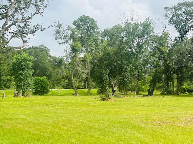 375 Thousand Oaks Dr, Angleton, TX 77515