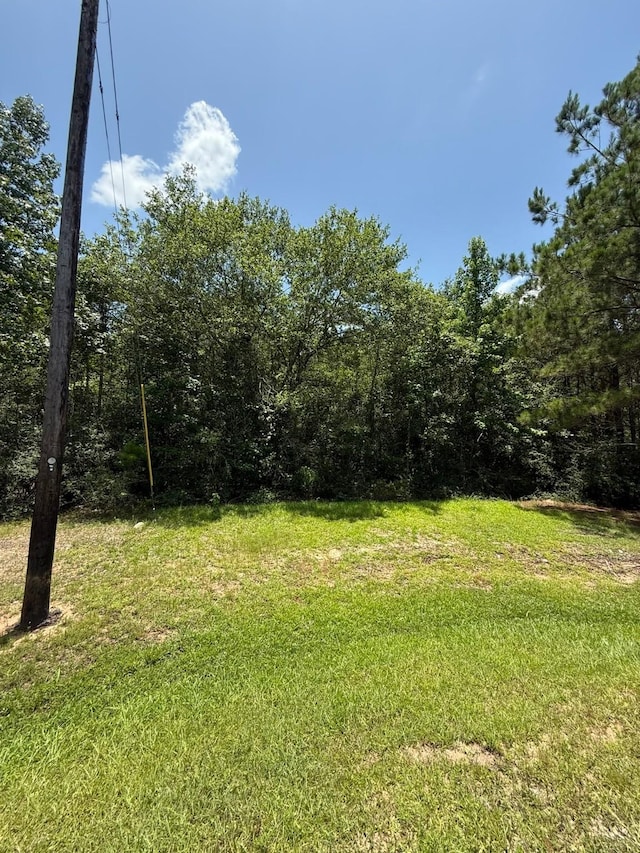 17655 Julianne Dr, Waller, TX 77484 - photo 2