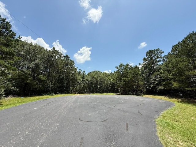 17655 Julianne Dr, Waller, TX 77484 - photo 5