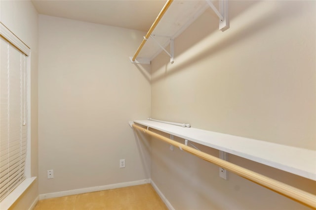 216 Willow Pointe Dr, League City, TX 77573 - walk in closet with light colored carpet