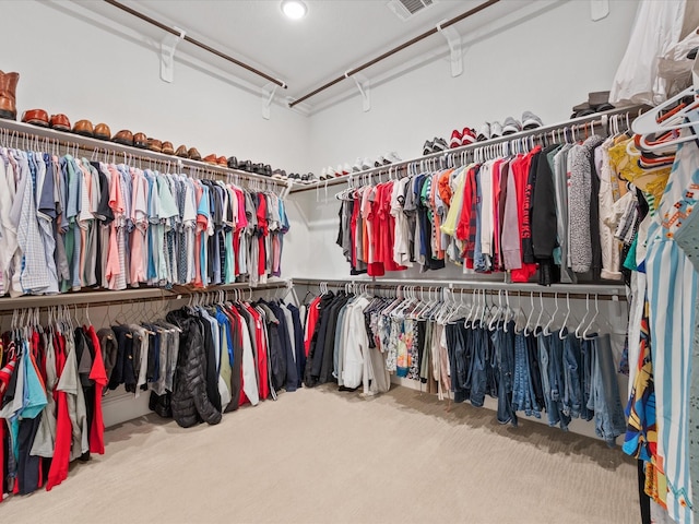 10814 Avery Arbor Ln, Cypress, TX 77433 - walk in closet with carpet