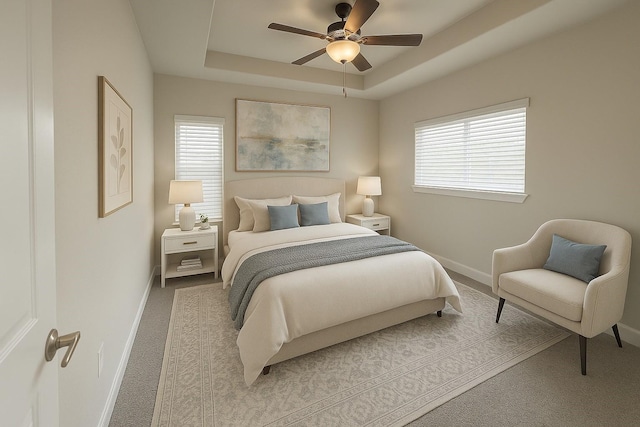 4301 Clover St, Houston, TX 77051 - bedroom with multiple windows, a tray ceiling, and carpet
