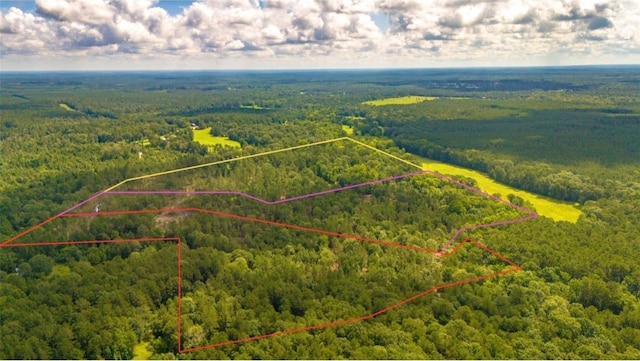 TBD Holland Rd, Moscow, TX 75960