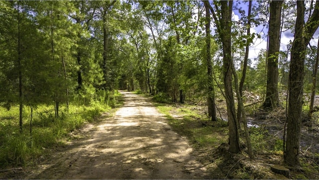 TBD Holland Rd, Moscow, TX 75960