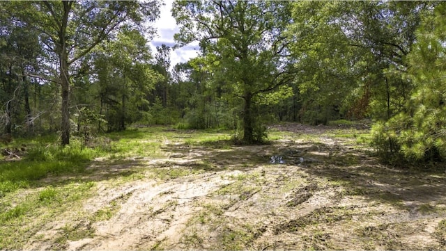 TBD Holland Rd, Moscow, TX 75960