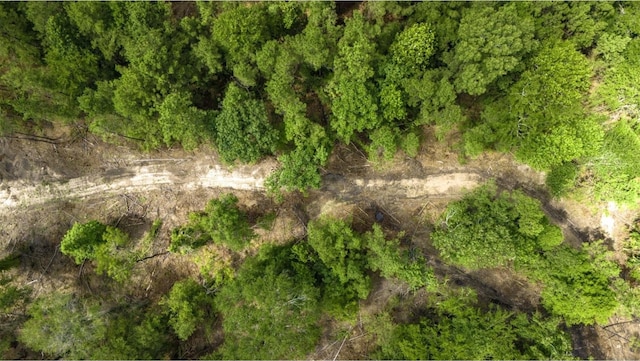 TBD Holland Rd, Moscow, TX 75960