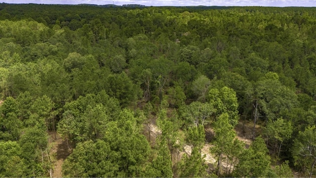 TBD Holland Rd, Moscow, TX 75960