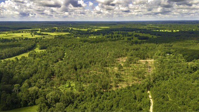 TBD Holland Rd, Moscow, TX 75960