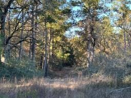 00 Crk 4200, Pennington, TX 75856