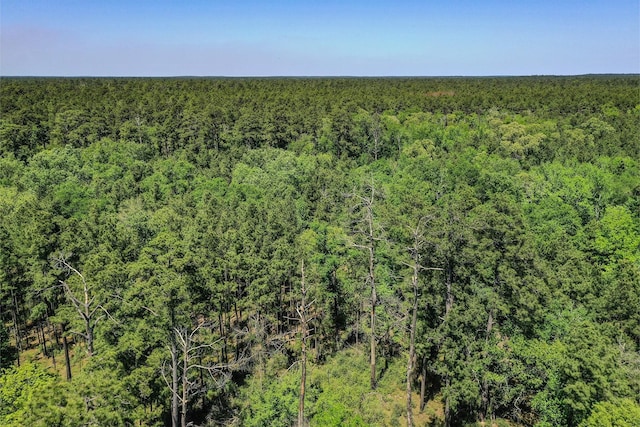 00 Crk 4200, Pennington, TX 75856