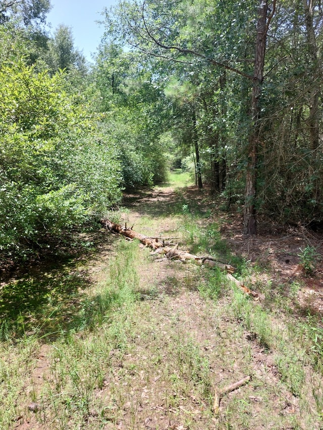 00 Crk 4200, Pennington, TX 75856