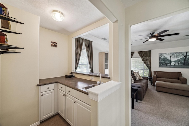 18502 Berry Leaf Ct, Houston, TX 77084 - photo 19