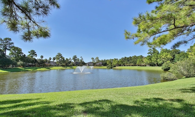 3102 Stargate Ct, Houston, TX 77068 - water view