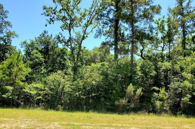 141 Kings Lake Estates Blvd, Humble, TX 77346 - photo 1