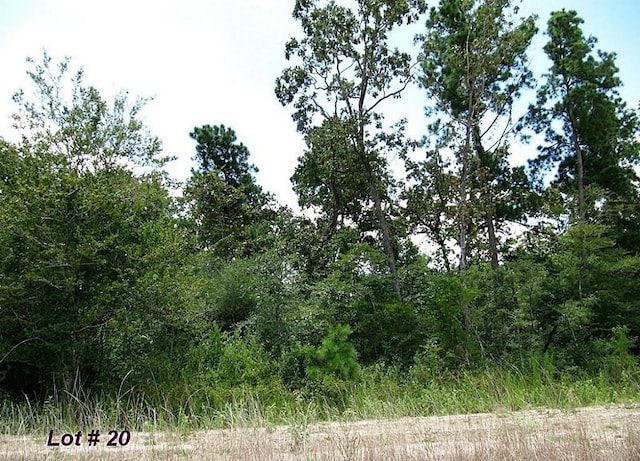 141 Kings Lake Estates Blvd, Humble, TX 77346 - photo 5
