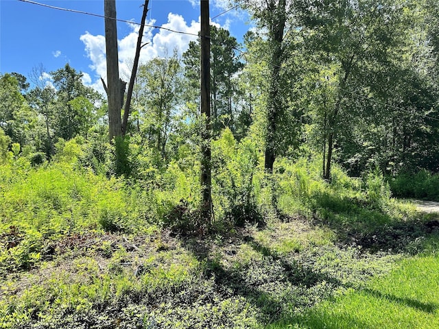 14301 Splenwood Dr, Splendora, TX 77372