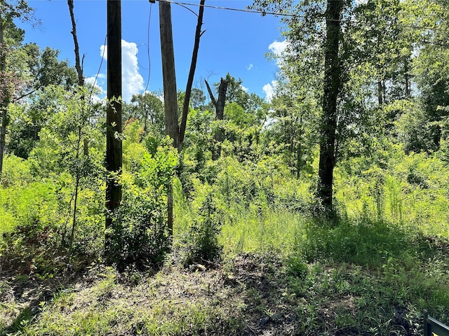 14301 Splenwood Dr, Splendora, TX 77372