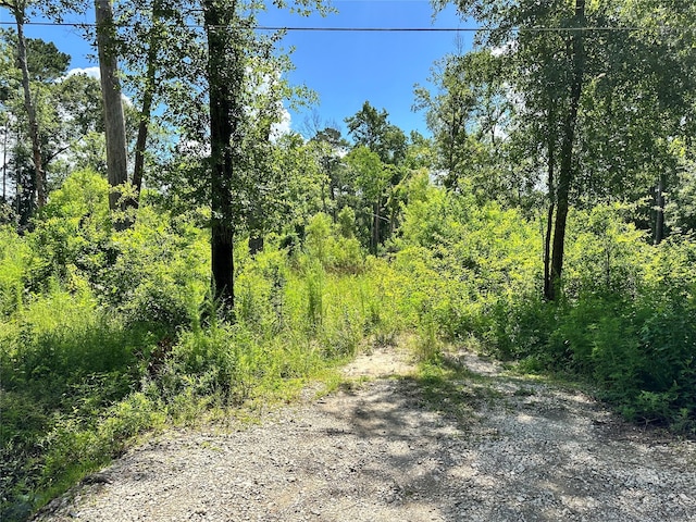 14301 Splenwood Dr, Splendora, TX 77372